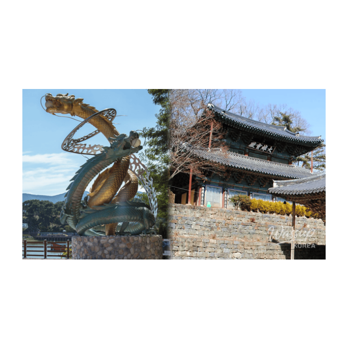 Discovering the Tranquility of Spring in Chungcheong Province2830