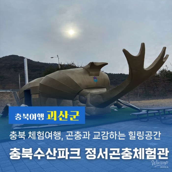 Exploring the Insect Experience Center in Cheongbuk with Kids2824