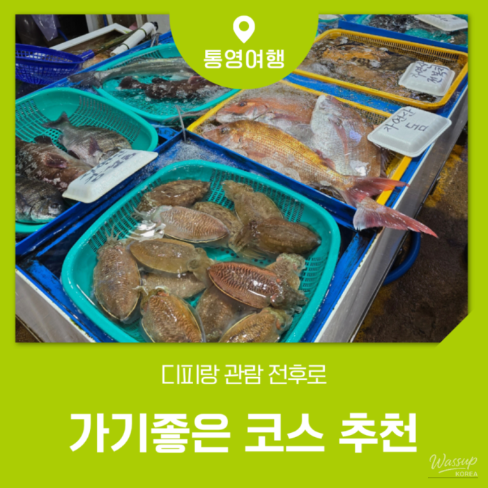 Recommended Evening Course in Tongyeong: A Perfect Itinerary2015