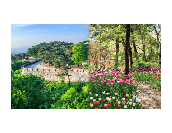 Top 4 Healing Walking Spots Near Seoul in Early Spring float