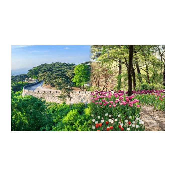 Top 4 Healing Walking Spots Near Seoul in Early Spring2826