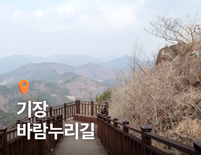 Exploring the Scenic Beauty of Ilgwangsan Mountain float