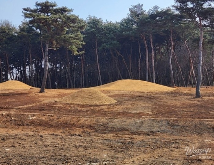 Exciting Discoveries in Our Neighborhood float