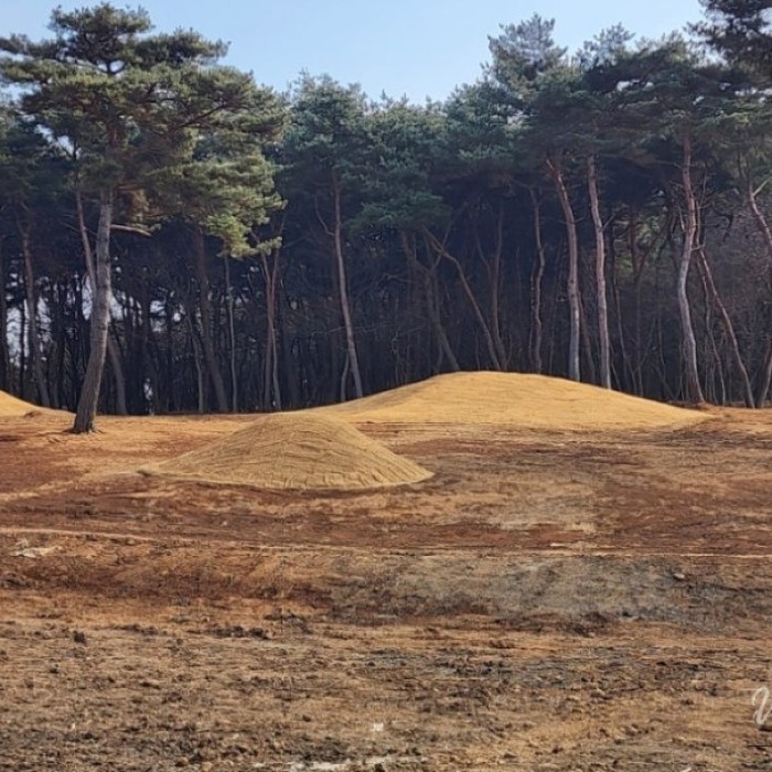 Exciting Discoveries in Our Neighborhood1474