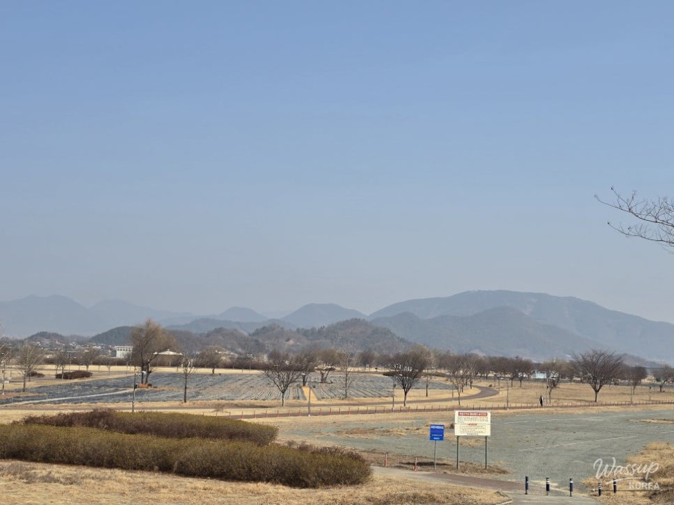 Exploring the Beauty of Hamann Gangnaru Ecological Park in Spring_03