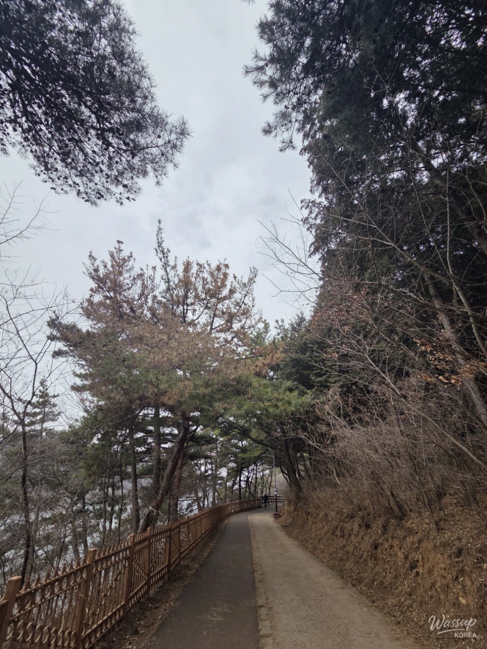 Spring at Gunsan Wolmyeong Lake_03