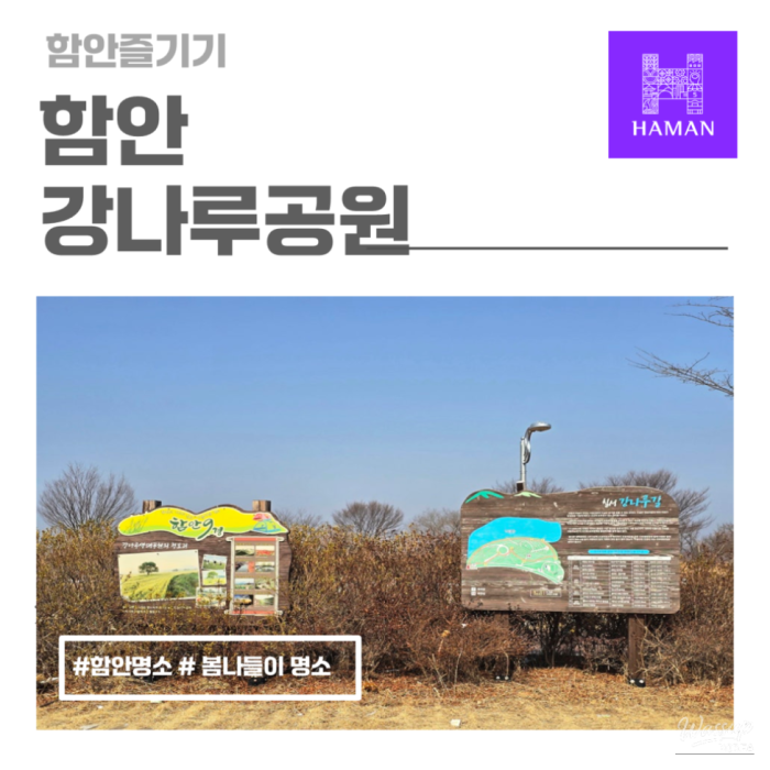 Exploring the Beauty of Hamann Gangnaru Ecological Park in Spring1485