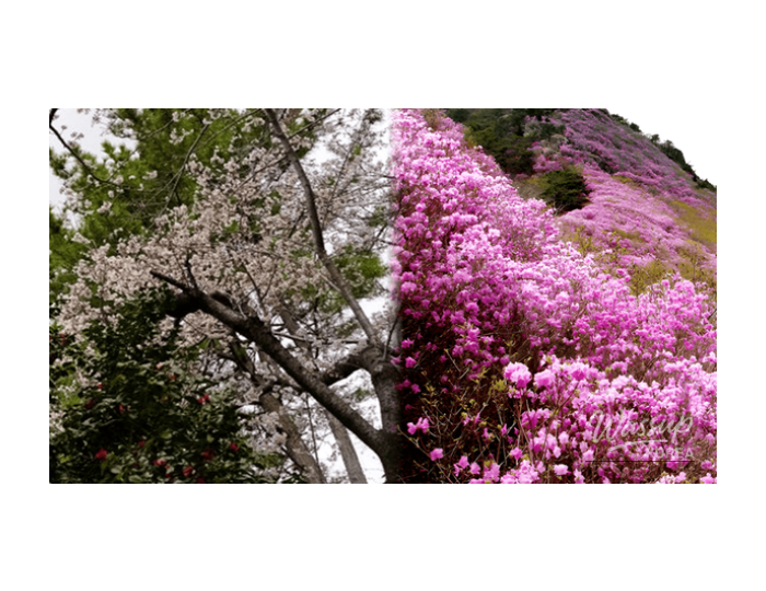 Best Hiking Destinations in Early Spring float