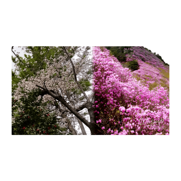 Best Hiking Destinations in Early Spring2834