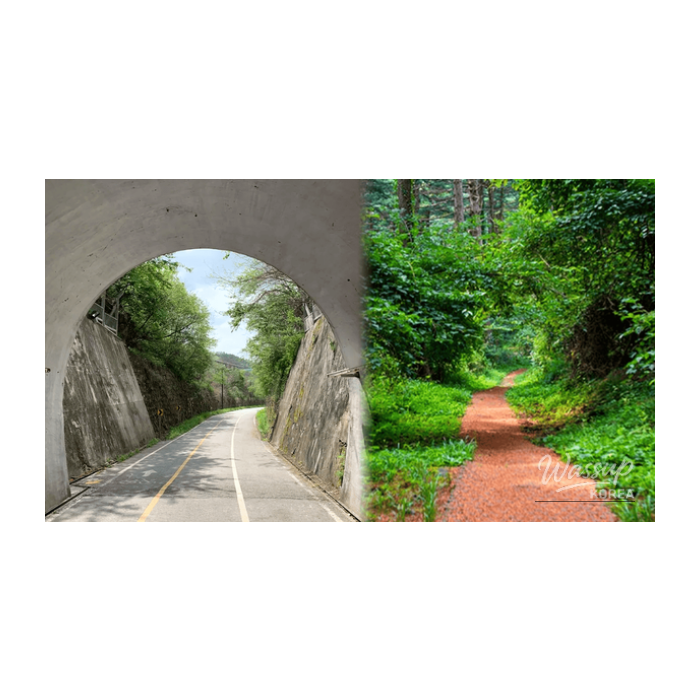 Exploring the Tranquil Beauty of Gapyeong in Early March2835