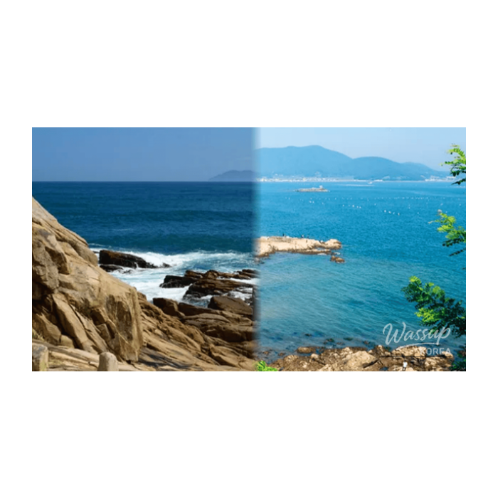 Top 4 Coastal Destinations in Korea for Early Spring Travel2837