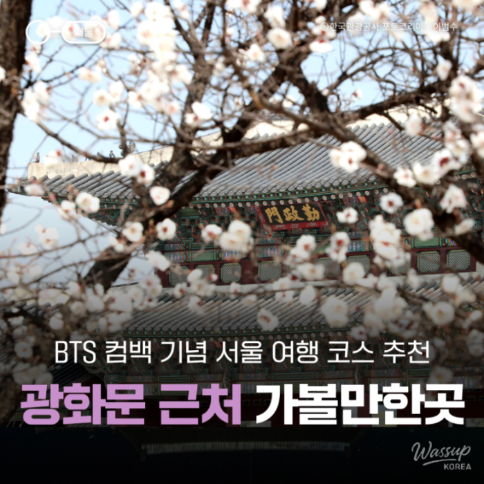 Exciting News for BTS Fans: Concert in Gwanghwamun, Seoul2842