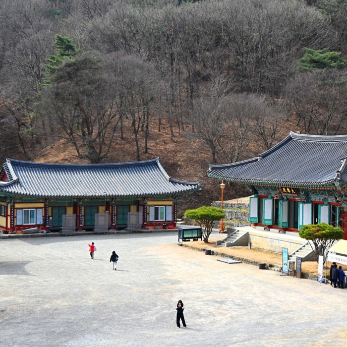 A Serene Temple: Yongtapsa and Uiduam in Dangjin2836
