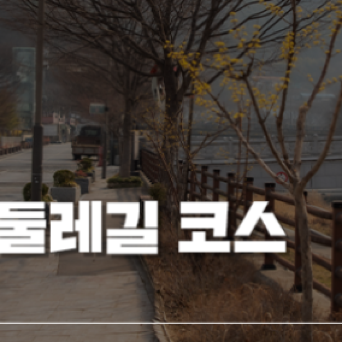 A Relaxing Morning Walk along Jeonju Hanok Village Trail1487