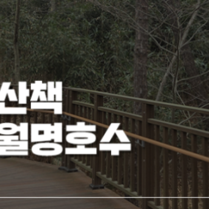 Spring at Gunsan Wolmyeong Lake1488