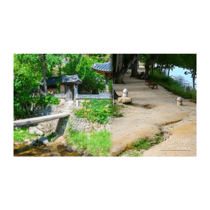 Top 4 Hidden Travel Spots for Stunning Photos in Korea2854