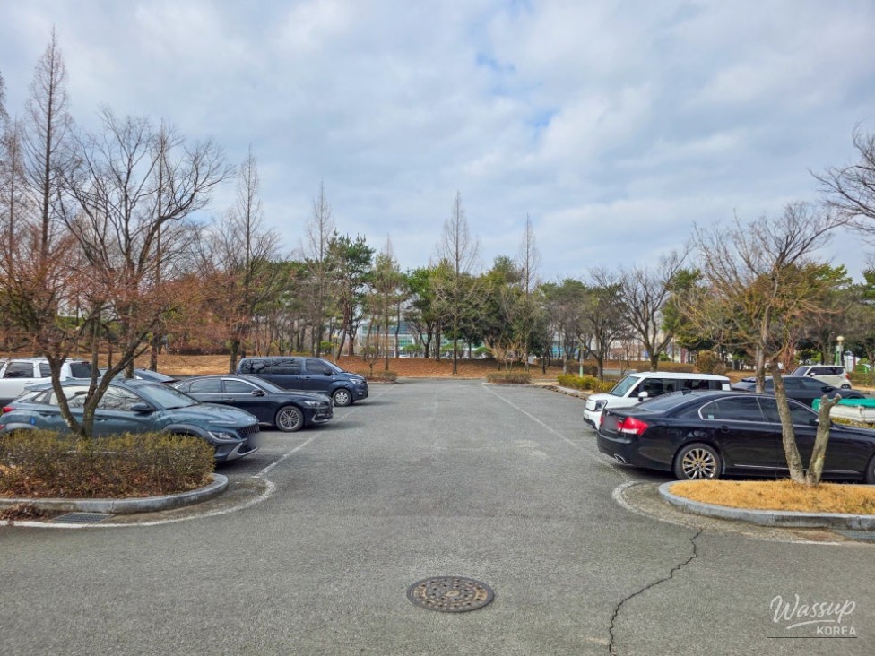 A Spring Day at Hamju Park_02