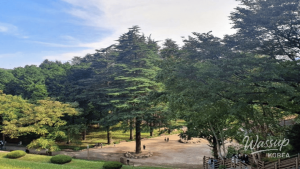 Hidden Travel Gems Near Busan: Exploring Yangsan_03