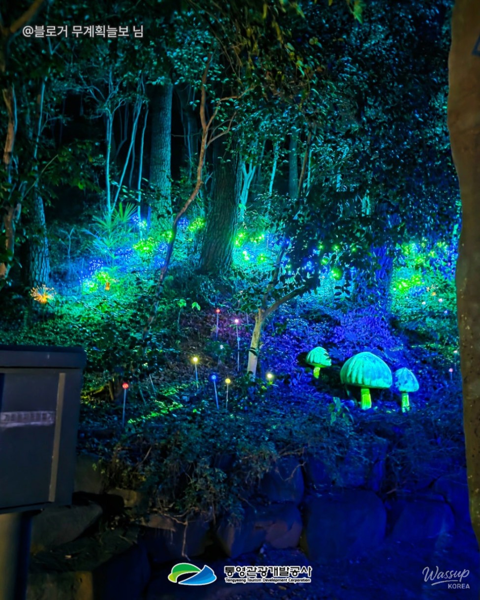 A Perfect Guide to Diphirang: A Must-Visit Night Course in Tongyeong_06