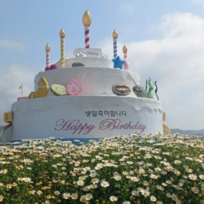 Exploring the Unique Beauty of Wando's Birthday Island2861