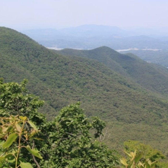 Exploring Yeonhwa Mountain: A Hidden Gem in Gyeongnam2870