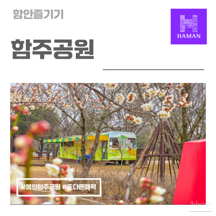 A Spring Day at Hamju Park1494