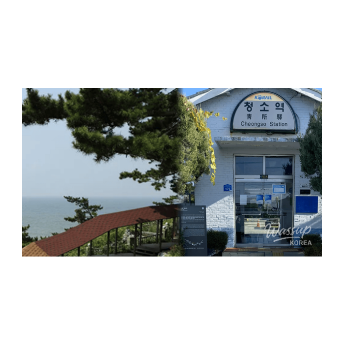 Exploring Boryeong: Top 4 Must-Visit Places in Early Spring2867