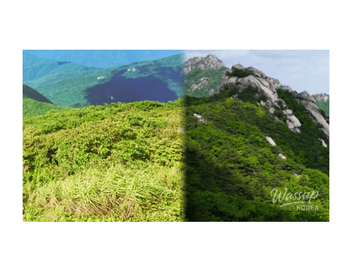 Top 4 Beautiful Mountains to Hike in Early Spring float