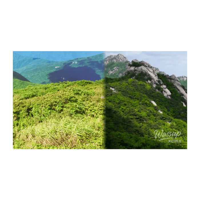 Top 4 Beautiful Mountains to Hike in Early Spring2862