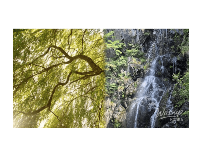 Hidden Travel Gems Near Busan: Exploring Yangsan float