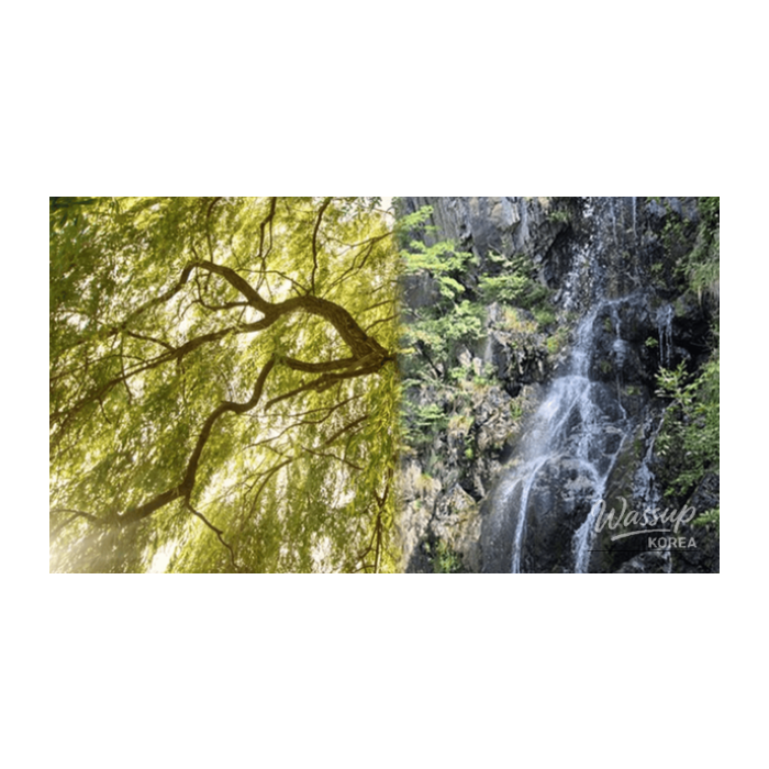 Hidden Travel Gems Near Busan: Exploring Yangsan2865