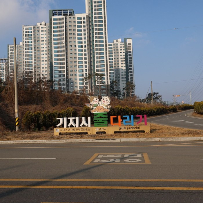 Gijisi Juldarigi Festival: A Celebration of Community and Tradition2875