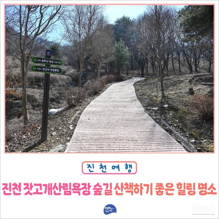 Discovering Jatgogae Forest Bathing Area in Jincheon2877