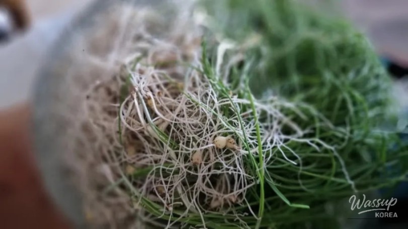 Delicious Spring Dish: Garlic Chive Pancakes_02