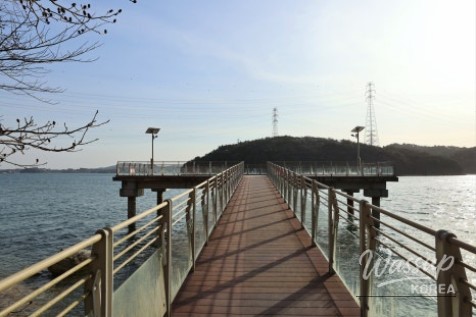 Valuable Experiences and Memorable Moments_06