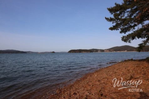 Valuable Experiences and Memorable Moments_22