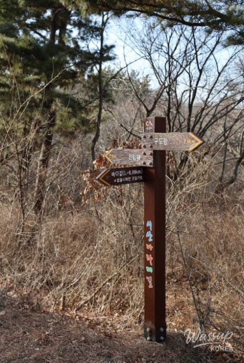 Valuable Experiences and Memorable Moments_11