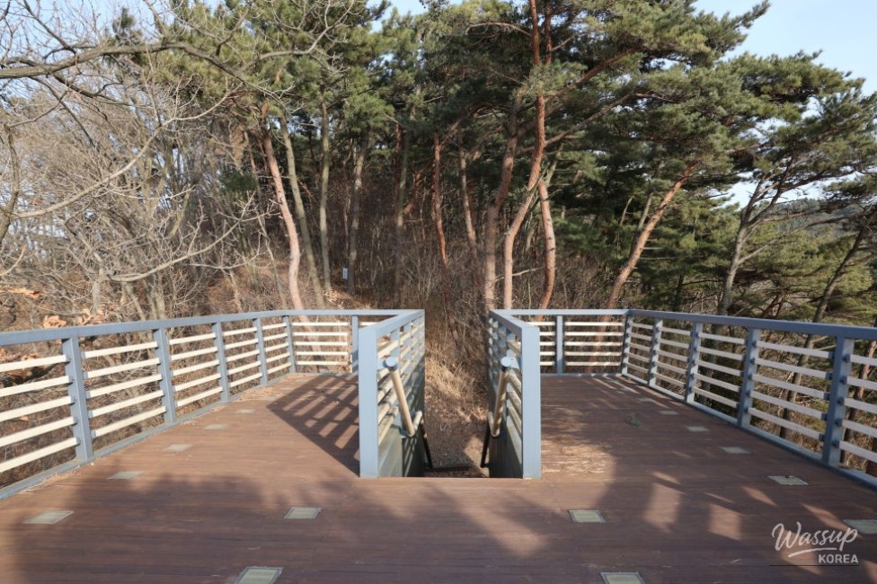 Valuable Experiences and Memorable Moments_21