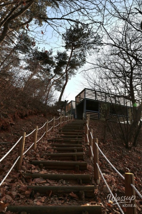 Valuable Experiences and Memorable Moments_19