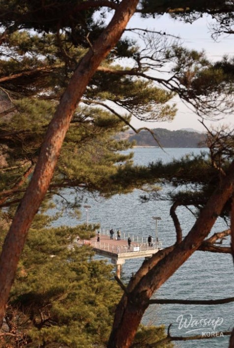 Valuable Experiences and Memorable Moments_20