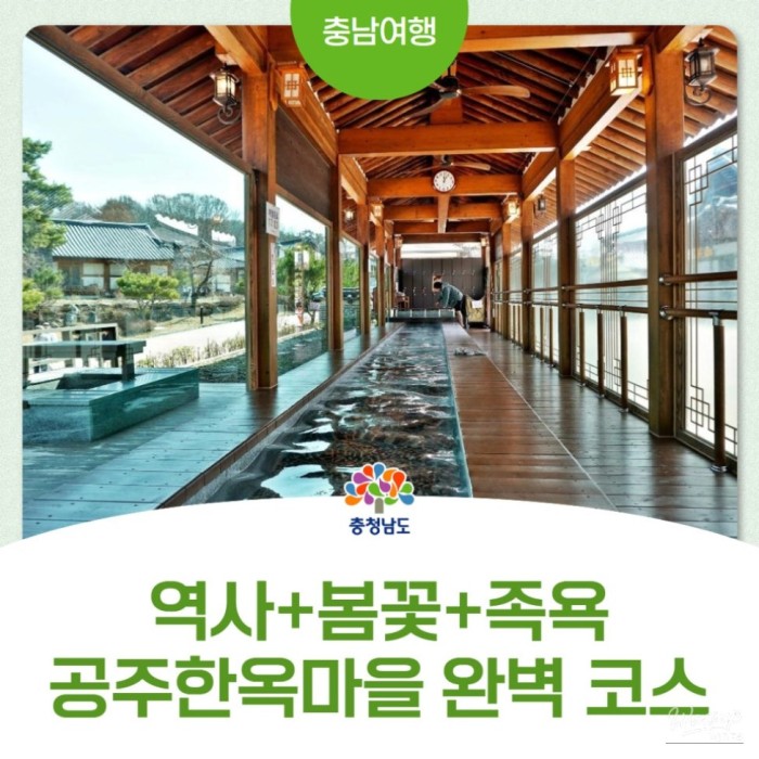 Enjoy the Spring Scenery at Gongju Hanok Village2880