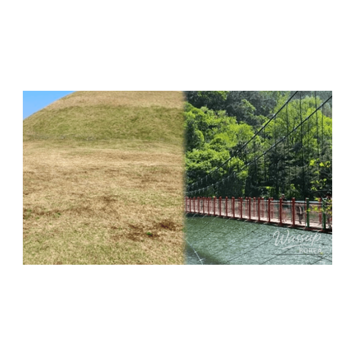 Discovering the Hidden Gems of Hamann, South Korea2881