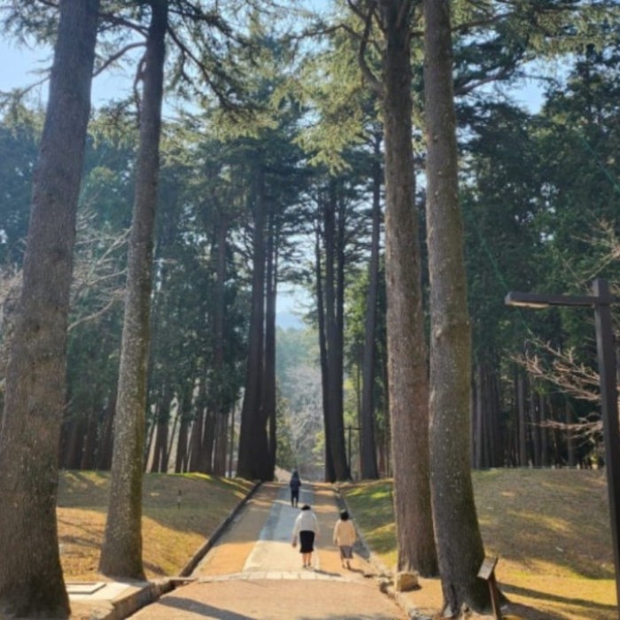 Discovering the Beauty of Beokgi Reservoir2893