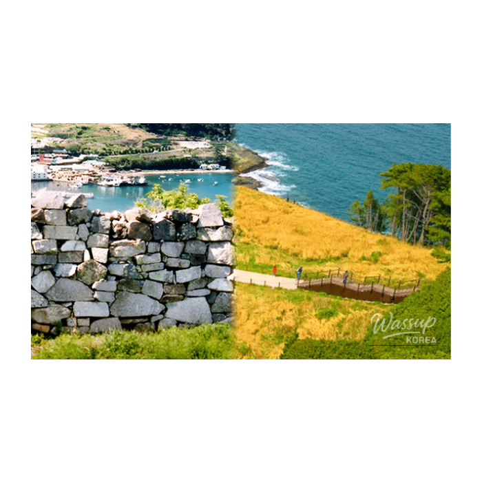 Discovering Geoje Island: Top 4 Must-Visit Spots2903