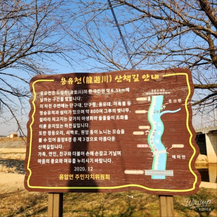 Exploring the Beautiful Yongyucheon Walking Path1504