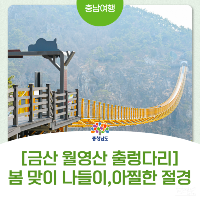 Spring Stroll Along the Geumgang River at the Wolyeongsan Suspension Bridge2888
