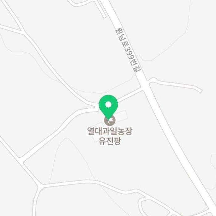 Exploring Seogwipo, Jeju: A Family-Friendly Tropical Fruit Farm Experience2030