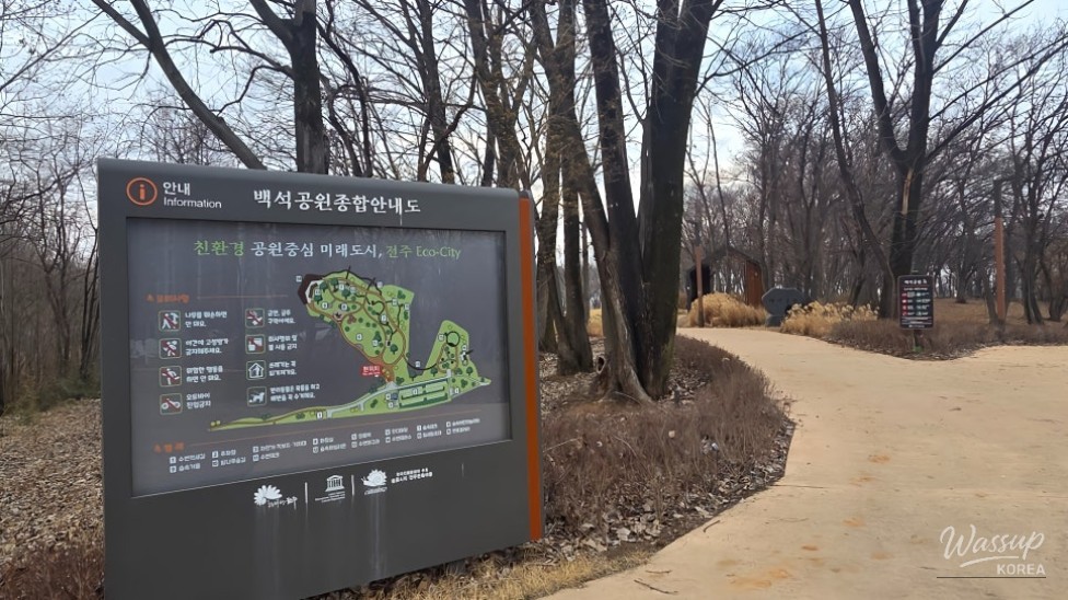 Enjoying Bicycle Riding and Picnics in the City_13