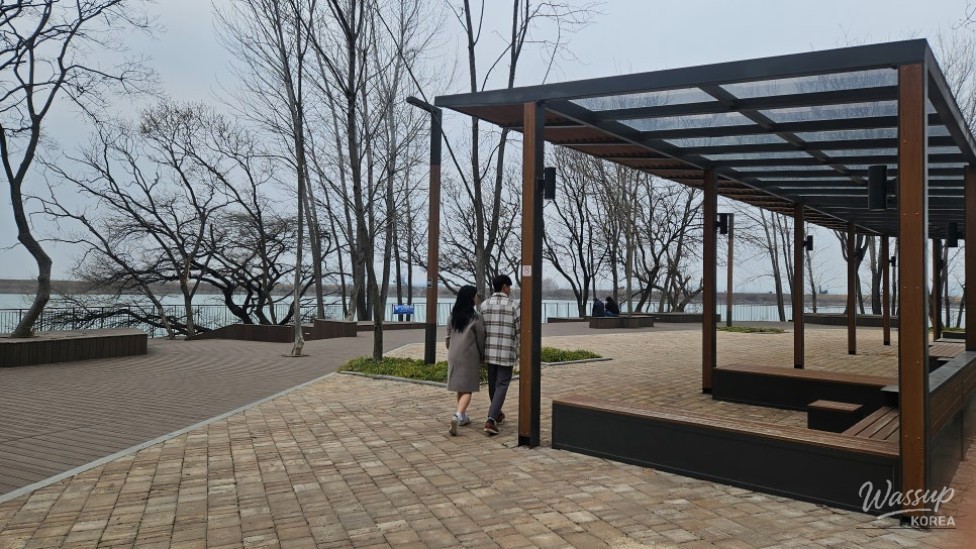 Enjoying Bicycle Riding and Picnics in the City_18