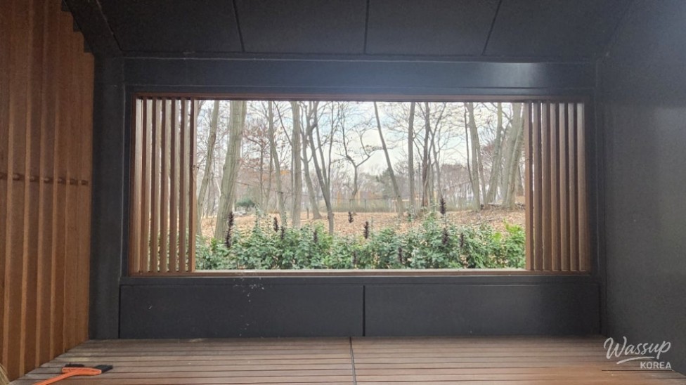 Enjoying Bicycle Riding and Picnics in the City_15